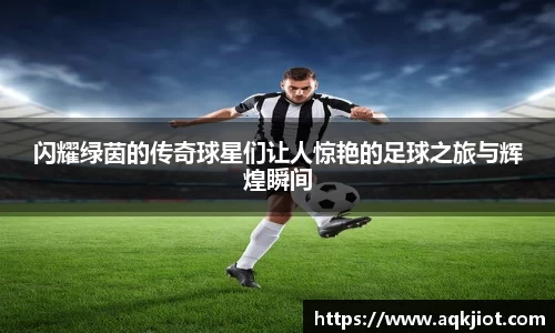 MMK体育